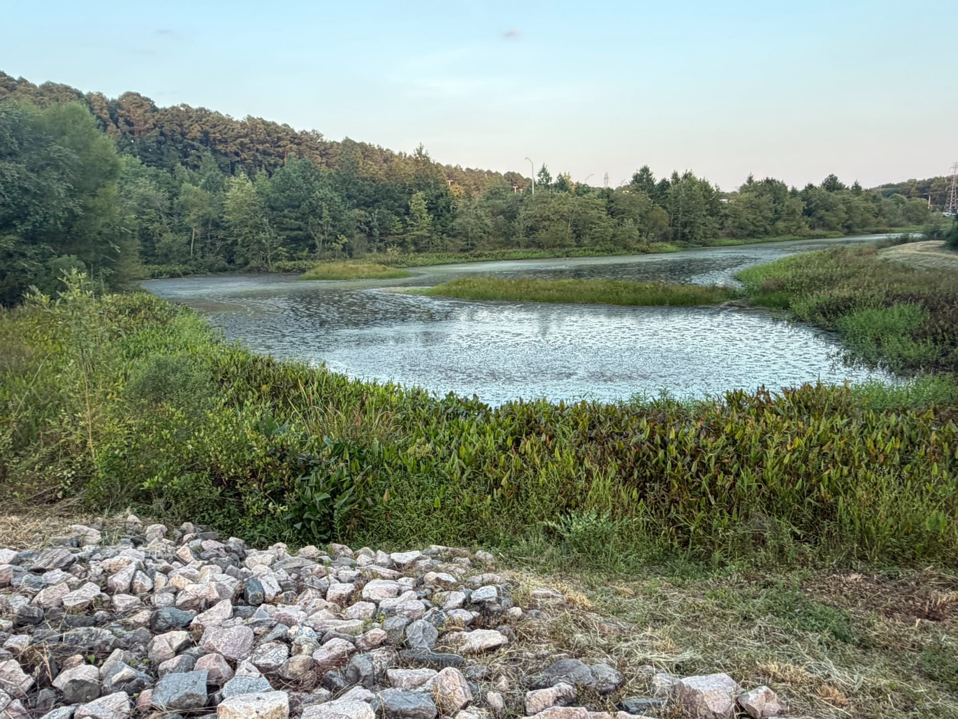 Ecological & River Buffer Services